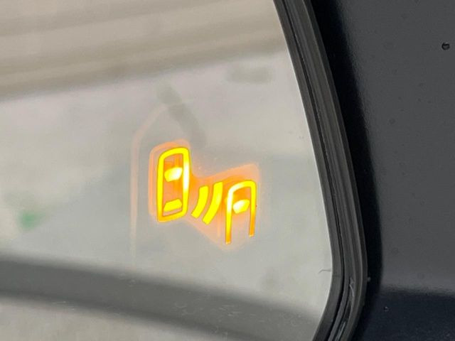 �y�u���C���h�X�|�b�g���j�^�z���[�_�[�ɂ��׎Ԑ��̎ԗ������m�B�ԗ������m�������̕\�������_���B�ԗ������m���Ă��鑤�ɎԐ��ύX�����悤�Ƃ����ꍇ�A�u�U�[�ƕ\���Ŋ댯�����m�点���܂��B