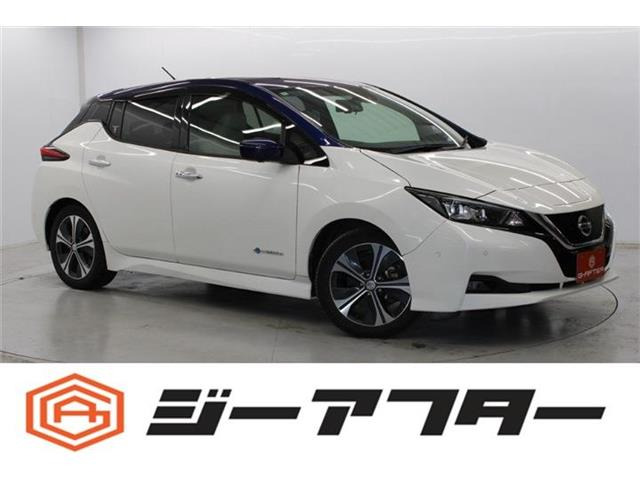 リーフ(日産) G 中古車画像