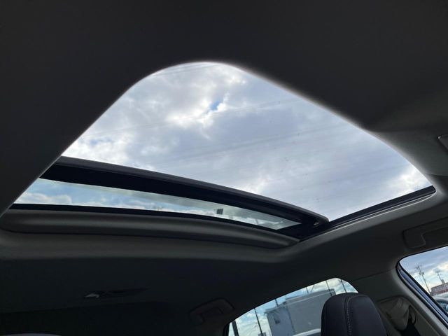 �y�T�����[�t�z�J���������Ղ�̊󏭑����A�T�����[�t����������Ă��܂�!�ԓ��ɖ�����������ꂽ��i�F���y���ވȊO�ɂ��A�ԓ��̋�C���ȒP�Ɋ��C�ł��ĉ��K�ł�!