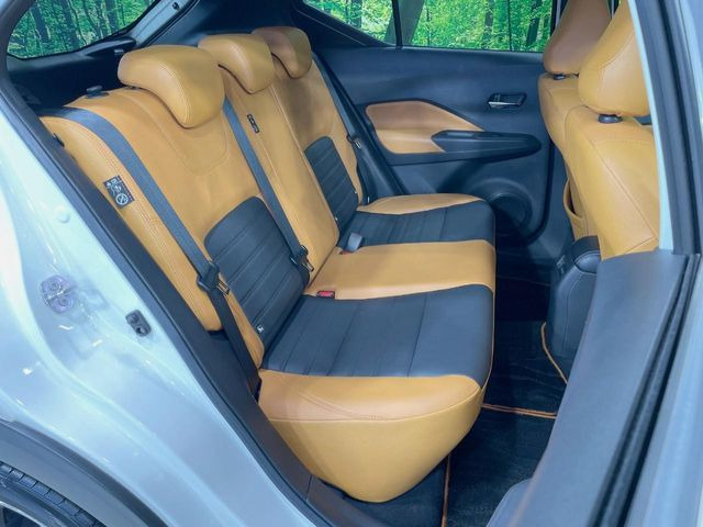 �㕔���Ȃ��C�ɂȂ�悤�ȃL�Y�E�����ւ��蓙�A�傫�ȃ_���[�W�͂Ȃ��A�ǍD�ȏ�Ԃł��B