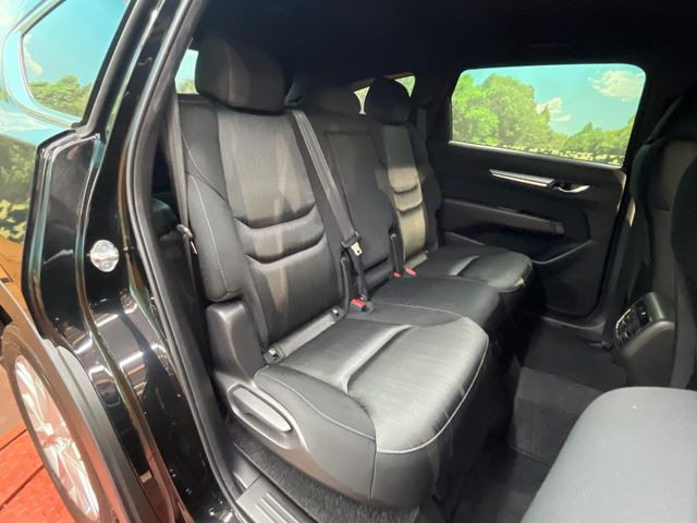 �㕔���Ȃ��C�ɂȂ�悤�ȃL�Y�E�����ւ��蓙�A�傫�ȃ_���[�W�͂Ȃ��A�ǍD�ȏ�Ԃł��B