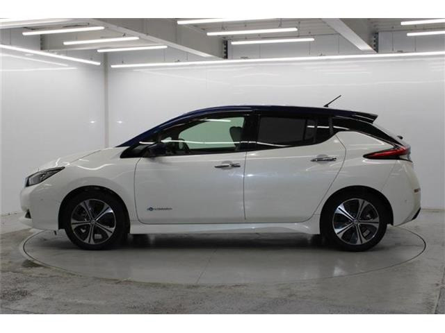 ���Ǝҗl�ւ̔̔��͂��f�肳���Ă��������܂��B�Ԍ������ԗ��̏ꍇ�́A�Ԍ����擾�������x�������z�ŕ\�����Ă���܂��B