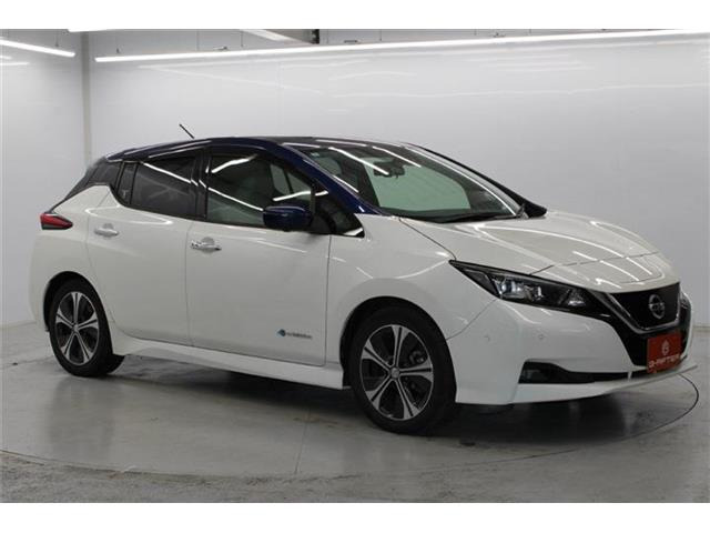 ���Ǝҗl�ւ̔̔��͂��f�肳���Ă��������܂��B�Ԍ������ԗ��̏ꍇ�́A�Ԍ����擾�������x�������z�ŕ\�����Ă���܂��B