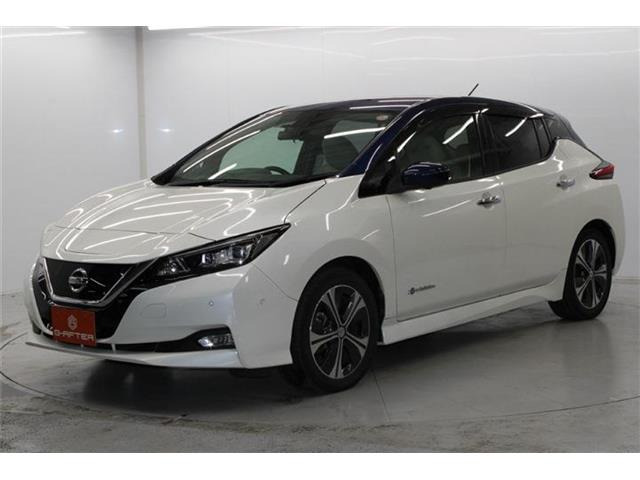 ���Ǝҗl�ւ̔̔��͂��f�肳���Ă��������܂��B�Ԍ������ԗ��̏ꍇ�́A�Ԍ����擾�������x�������z�ŕ\�����Ă���܂��B