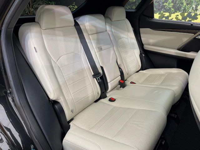 �㕔���Ȃ��C�ɂȂ�悤�ȃL�Y�E�����ւ��蓙�A�傫�ȃ_���[�W�͂Ȃ��A�ǍD�ȏ�Ԃł��B