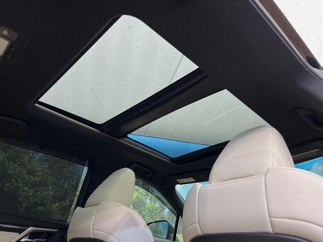 �y�T�����[�t�z�J���������Ղ�̊󏭑����A�T�����[�t����������Ă��܂�!�ԓ��ɖ�����������ꂽ��i�F���y���ވȊO�ɂ��A�ԓ��̋�C���ȒP�Ɋ��C�ł��ĉ��K�ł�!