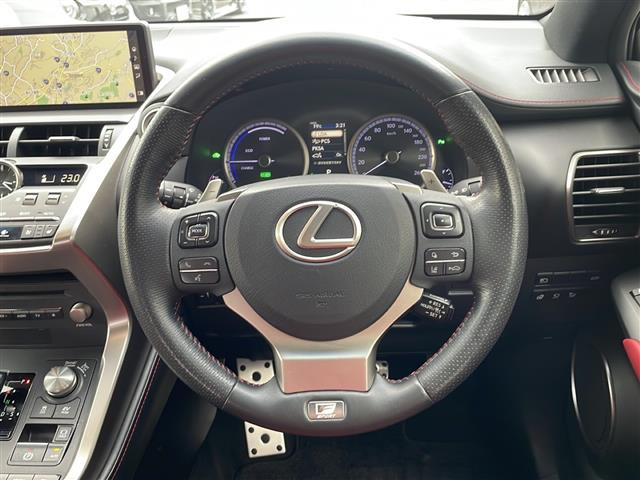 NX300h Fスポーツ