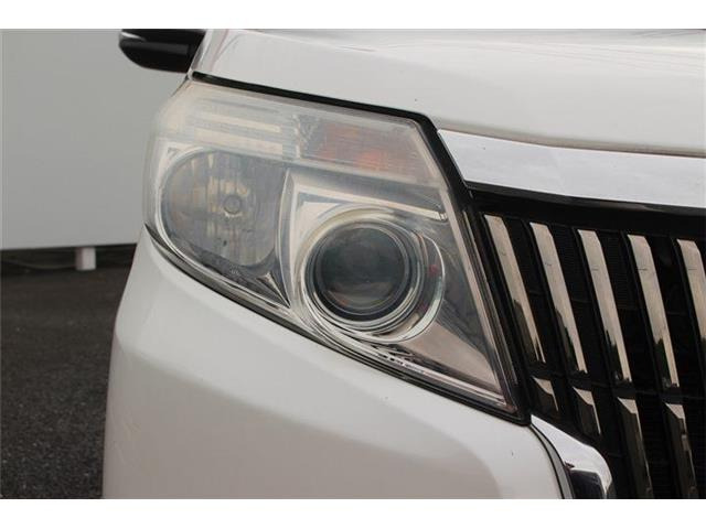 �����X�o���Ȃ����q�l�A���Ǝҗl�ւ̔̔��͂��f�肳���Ă��������܂��B�Ԍ������ԗ��̏ꍇ�́A�Ԍ����擾�������x�������z�ŕ\�����Ă���܂��B