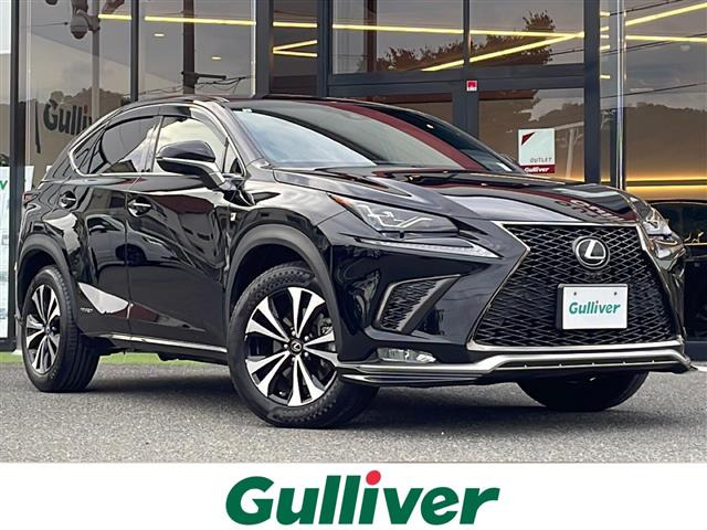 NX300h Fスポーツ