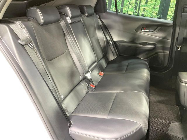 �㕔���Ȃ��C�ɂȂ�悤�ȃL�Y�E�����ւ��蓙�A�傫�ȃ_���[�W�͂Ȃ��A�ǍD�ȏ�Ԃł��B