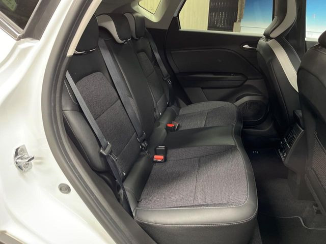 ���㕔���Ȃ��C�ɂȂ�悤�ȃL�Y�E�����ւ��蓙�A�傫�ȃ_���[�W�͂Ȃ��A�ǍD�ȏ�Ԃł��B