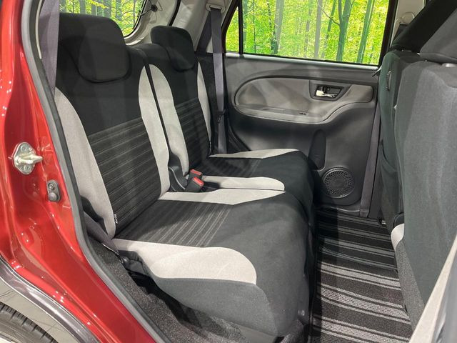 �㕔���Ȃ��C�ɂȂ�悤�ȃL�Y�E�����ւ��蓙�A�傫�ȃ_���[�W�͂Ȃ��A�ǍD�ȏ�Ԃł��B