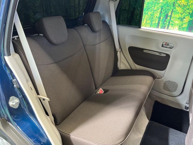 �㕔���Ȃ��C�ɂȂ�悤�ȃL�Y�E�����ւ��蓙�A�傫�ȃ_���[�W�͂Ȃ��A�ǍD�ȏ�Ԃł��B