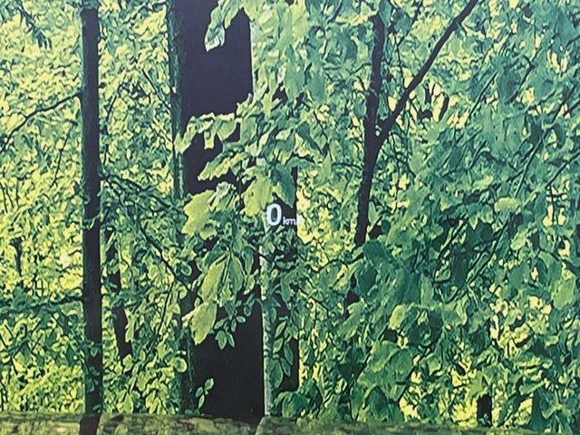 �y�J���[�w�b�h�A�b�v�f�B�X�v���C�z���݂̑��x�⑖�s�����f�W�^���\���ŉ^�]�ȑO���̃K���X�ɓ��e!�J���[�t���Ŏ��F���������A�^�]���ڐ������炳���K�v�ȏ����m�F�ł���̂łƂ��Ă��֗��ň��S!