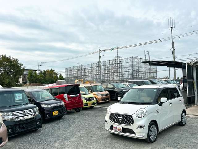 �y39.8���X�J�[�Y�̎��q���������������A���ɂ��肪�Ƃ��������܂��B���������S�s���c1186-7TEL:0942-73-6060�܂ł��⍇����������