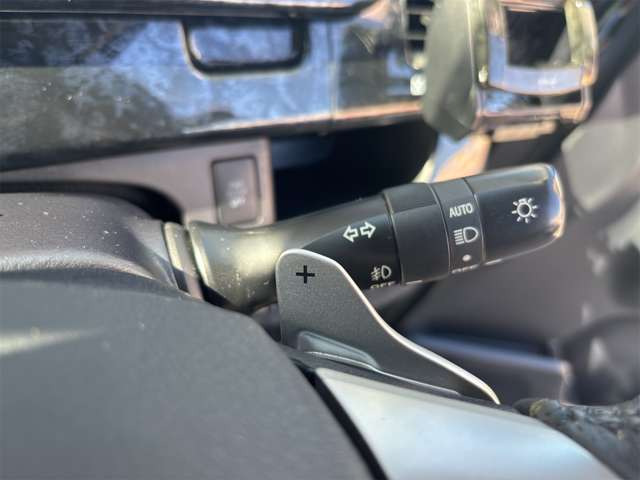 �}�j���A�����o���킦�܂��p�h���V�t�g