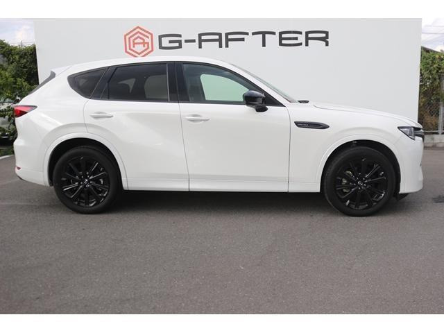 ���Ǝҗl�ւ̔̔��͂��f�肳���Ă��������܂��B �Ԍ������ԗ��̏ꍇ�́A�Ԍ����擾�������x�������z�ŕ\�����Ă���܂��B