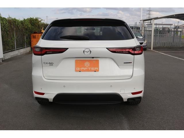 ���Ǝҗl�ւ̔̔��͂��f�肳���Ă��������܂��B �Ԍ������ԗ��̏ꍇ�́A�Ԍ����擾�������x�������z�ŕ\�����Ă���܂��B