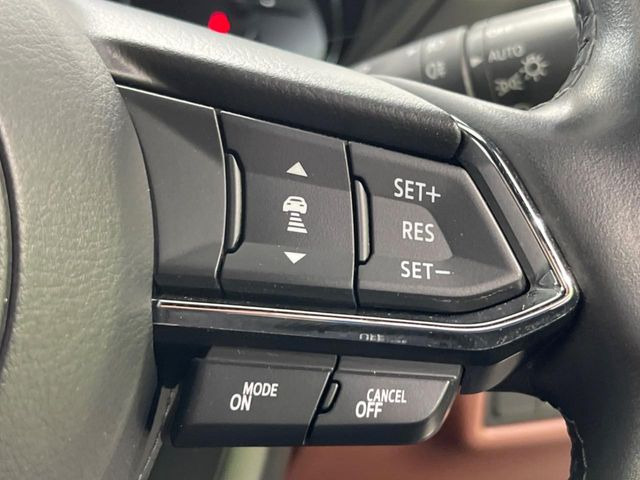 �y�}�c�_�E���[�_�[�N���[�Y�R���g���[���z�������H�ł̒��������s���y��!�����ő��x��ۂN���[�Y�R���g���[�����A�Փˌy���V�X�e���ƘA�g���A�O���̎ԗ������m���ĎԊԂ�ۂ悤�ɑ��x���߂��Ă���܂�!!