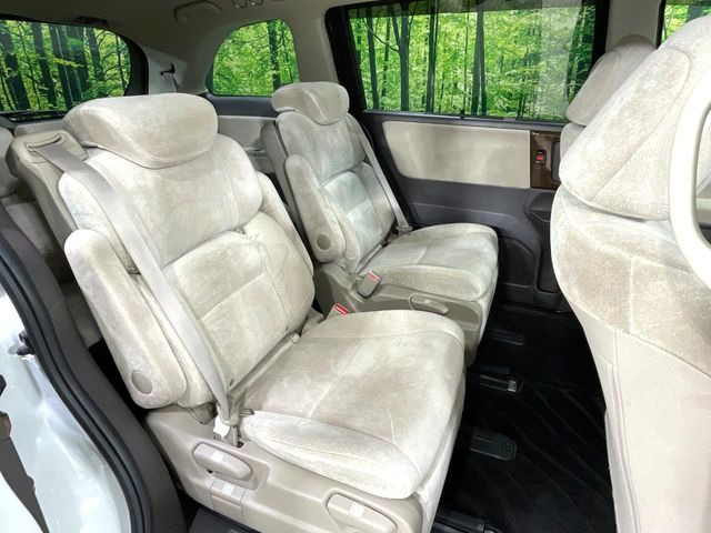 �㕔���Ȃ��C�ɂȂ�悤�ȃL�Y�E�����ւ��蓙�A�傫�ȃ_���[�W�͂Ȃ��A�ǍD�ȏ�Ԃł��B