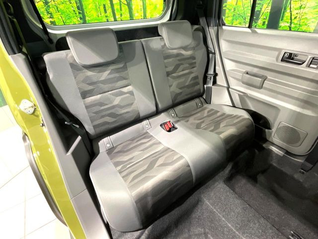 �㕔���Ȃ��C�ɂȂ�悤�ȃL�Y�E�����ւ��蓙�A�傫�ȃ_���[�W�͂Ȃ��A�ǍD�ȏ�Ԃł��B