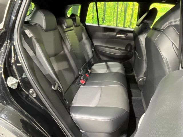 �㕔���Ȃ��C�ɂȂ�悤�ȃL�Y�E�����ւ��蓙�A�傫�ȃ_���[�W�͂Ȃ��A�ǍD�ȏ�Ԃł��B