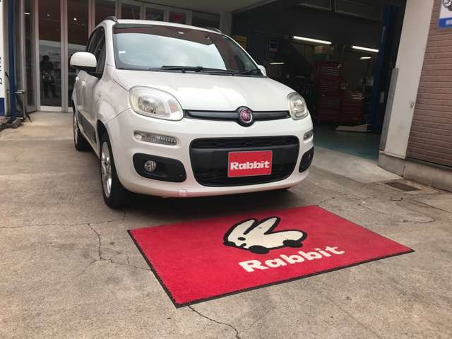 パンダイージー