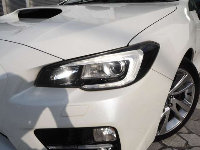 ���V��̍ۂł��A���邭�g�����K���[�W���������܂��̂ŁA�������Ƃ��������܂���