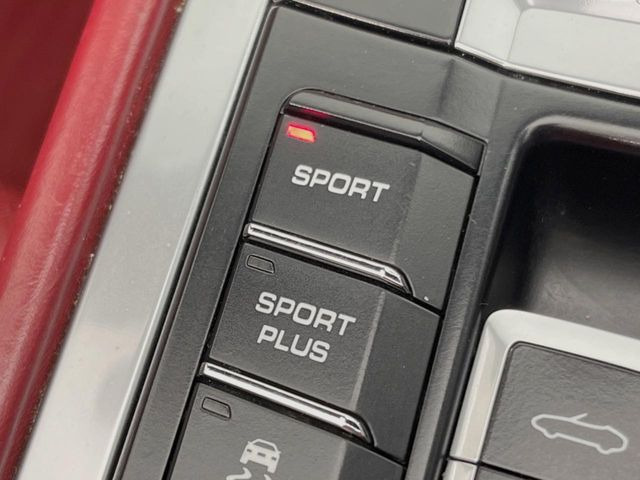 ���X�|�[�c�G�L�]�[�X�g!