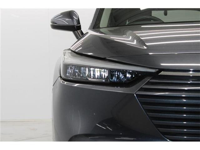 ���Ǝҗl�ւ̔̔��͂��f�肳���Ă��������܂��B �Ԍ������ԗ��̏ꍇ�́A�Ԍ����擾�������x�������z�ŕ\�����Ă���܂��B