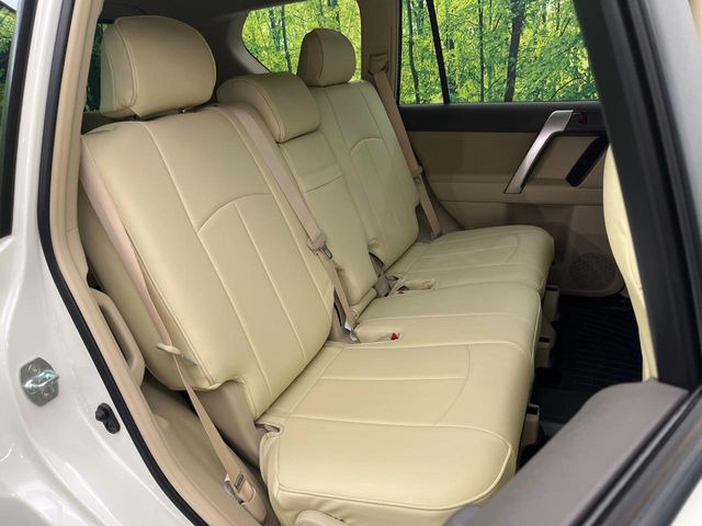 �㕔���Ȃ��C�ɂȂ�悤�ȃL�Y�E�����ւ��蓙�A�傫�ȃ_���[�W�͂Ȃ��A�ǍD�ȏ�Ԃł��B