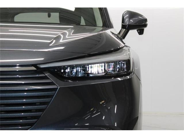 ���Ǝҗl�ւ̔̔��͂��f�肳���Ă��������܂��B �Ԍ������ԗ��̏ꍇ�́A�Ԍ����擾�������x�������z�ŕ\�����Ă���܂��B