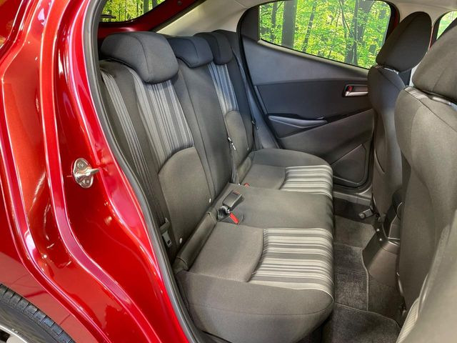 �㕔���Ȃ��C�ɂȂ�悤�ȃL�Y�E�����ւ��蓙�A�傫�ȃ_���[�W�͂Ȃ��A�ǍD�ȏ�Ԃł��B