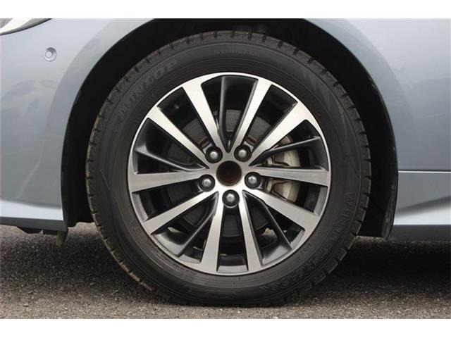 ���Ǝҗl�ւ̔̔��͂��f�肳���Ă��������܂��B �Ԍ������ԗ��̏ꍇ�́A�Ԍ����擾�������x�������z�ŕ\�����Ă���܂��B