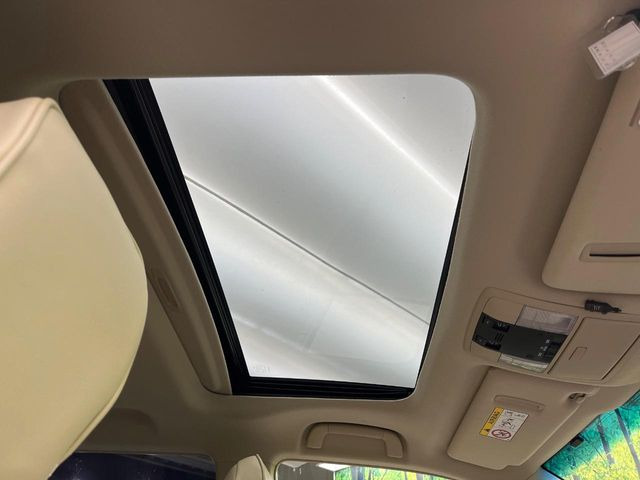 �y�T�����[�t�z�J���������Ղ�̊󏭑����A�T�����[�t����������Ă��܂�!�ԓ��ɖ�����������ꂽ��i�F���y���ވȊO�ɂ��A�ԓ��̋�C���ȒP�Ɋ��C�ł��ĉ��K�ł�!