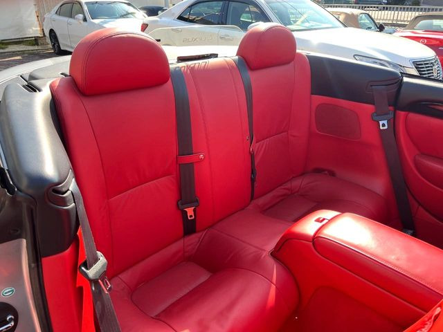 �㕔���Ȃ��C�ɂȂ�悤�ȃL�Y�E�����ւ��蓙�A�傫�ȃ_���[�W�͂Ȃ��A�ǍD�ȏ�Ԃł��B