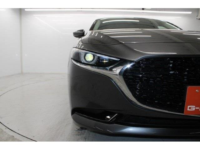 ���Ǝҗl�ւ̔̔��͂��f�肳���Ă��������܂��B �Ԍ������ԗ��̏ꍇ�́A�Ԍ����擾�������x�������z�ŕ\�����Ă���܂��B