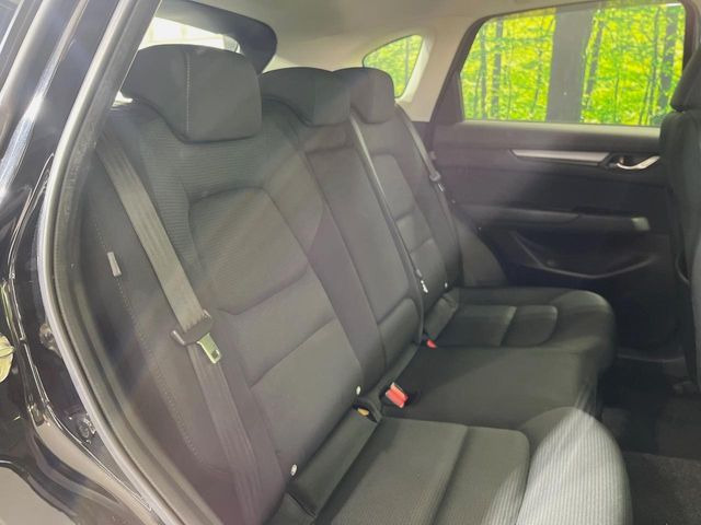 �㕔���Ȃ��C�ɂȂ�悤�ȃL�Y�E�����ւ��蓙�A�傫�ȃ_���[�W�͂Ȃ��A�ǍD�ȏ�Ԃł��B