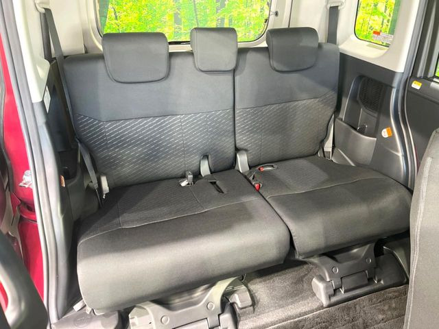 �㕔���Ȃ��C�ɂȂ�悤�ȃL�Y�E�����ւ��蓙�A�傫�ȃ_���[�W�͂Ȃ��A�ǍD�ȏ�Ԃł��B