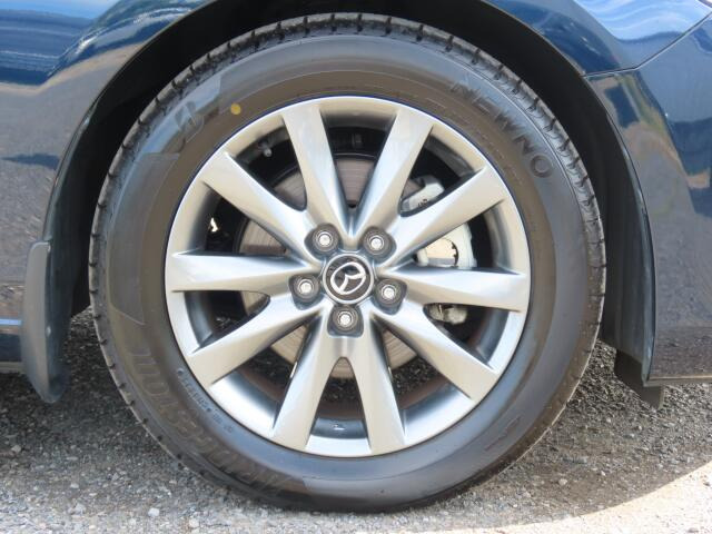 �����A���~�𗚂��Ă܂�!�R��̖ʂł����􂵂Ă���鑕���ł�!