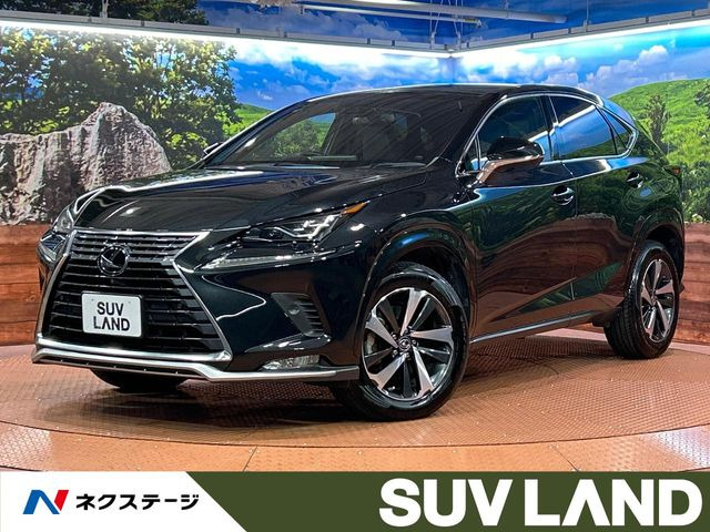 NX(レクサス) 300 スパイス&amp;シック 中古車画像