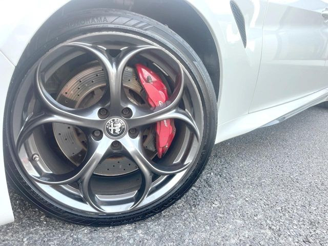 ������19�C���`�A���~�z�C�[��:�A���ԂȂ�ł͂̑�z����������x����z�C�[���Ƒ����ł�!���{�Ԃ̑���Ɋ���Ă�����ɂ����Б̊����Ē��������قǁA�������x���ł܂Ƃ܂��Ă��܂�!