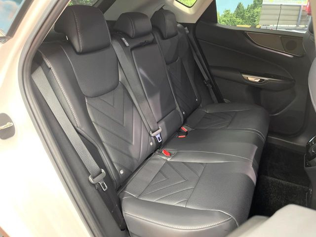 �㕔���Ȃ��C�ɂȂ�悤�ȃL�Y�E�����ւ��蓙�A�傫�ȃ_���[�W�͂Ȃ��A�ǍD�ȏ�Ԃł��B