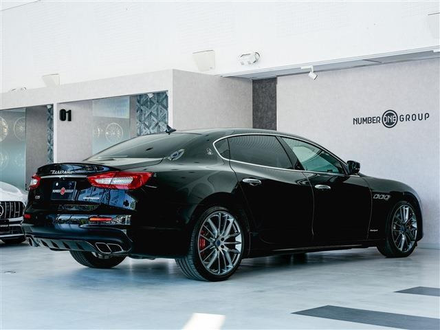 オプション:アルカンタラーラルーフ