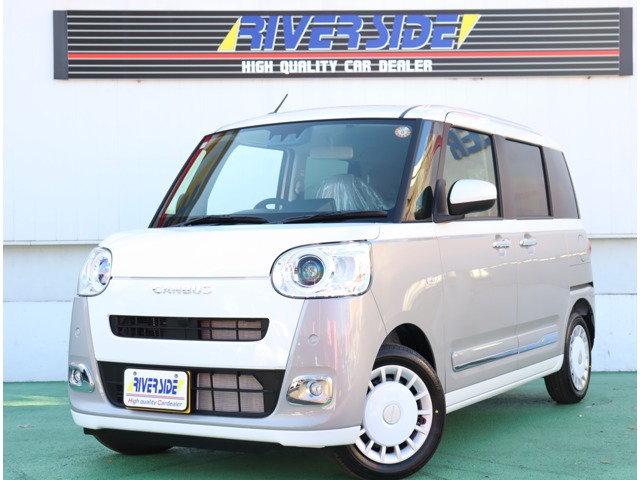 ムーヴキャンバスストライプス G