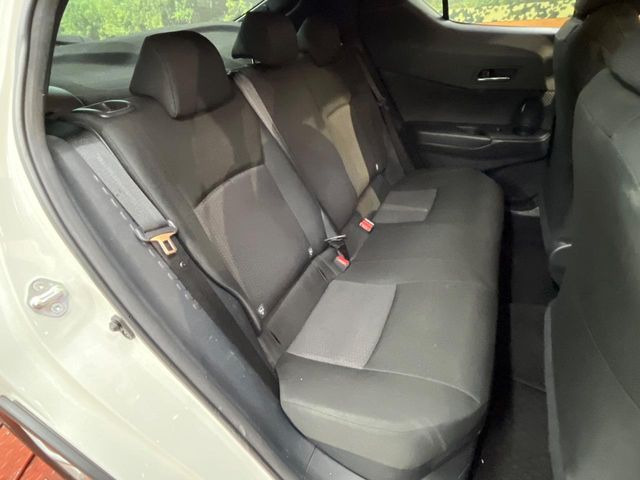 �㕔���Ȃ��C�ɂȂ�悤�ȃL�Y�E�����ւ��蓙�A�傫�ȃ_���[�W�͂Ȃ��A�ǍD�ȏ�Ԃł��B