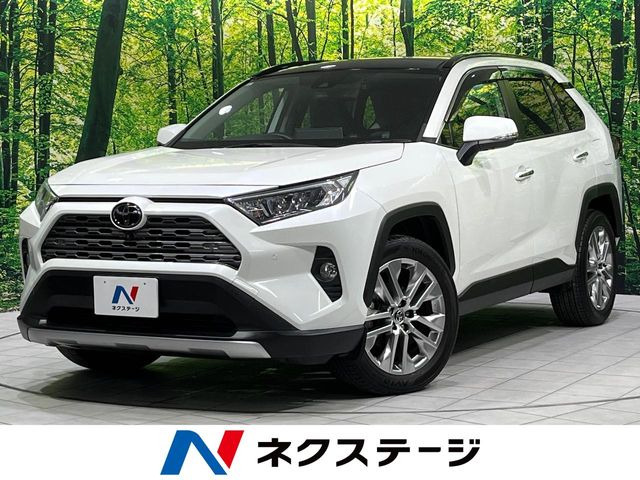RAV4(トヨタ) 2.0 G Zパッケージ 4WD 中古車画像