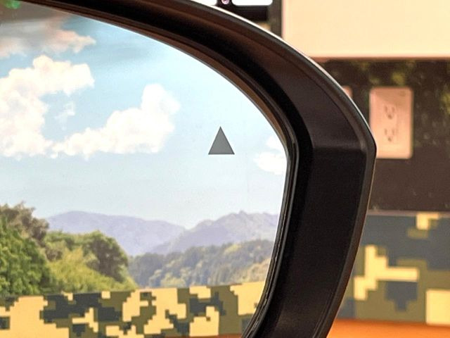 �y�u���C���h�X�|�b�g���[�j���O�z���s���A�h�A�~���[�̎��p�ɂȂ�₷���ӏ��Ɍ㑱�Ԃ��ڋ߂���ƃT�C�h�~���[�t�߂Ɍx����\���A�h���C�o�[�ɒ��ӊ��N�����Ă���܂��B