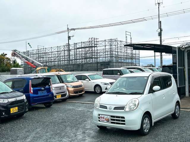 �y39.8���X�J�[�Y�̎��q���������������A���ɂ��肪�Ƃ��������܂��B���������S�s���c1186-7TEL:0942-73-6060�܂ł��⍇����������