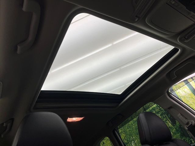 �y�T�����[�t�z�J���������Ղ�̊󏭑����A�T�����[�t����������Ă��܂�!�ԓ��ɖ�����������ꂽ��i�F���y���ވȊO�ɂ��A�ԓ��̋�C���ȒP�Ɋ��C�ł��ĉ��K�ł�!